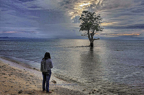 Me and the Famous Lone Tree @Turtle Sanctuary, Punta Dumalag, Davao City