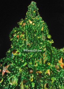 Mana Davao casa de artes y antigous in Bajada, Davao City lighted Christmas tree