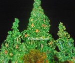 Mana Davao casa de artes y antigous in Bajada, Davao City - lighted christmas trees
