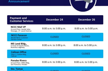 Davao Light Holiday Schedule for Payments and Services December 2022